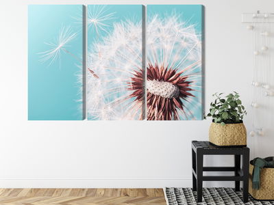Ljuddämpande tavla - Dandelion flower on a macro