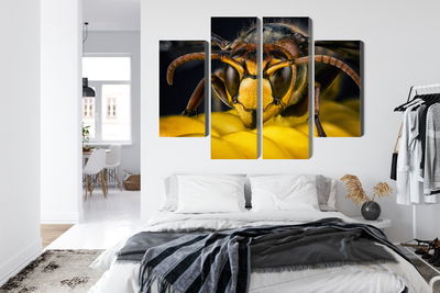 Ljuddämpande tavla - Wasp on a macro scale