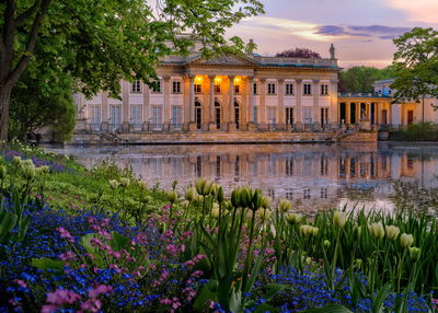Ljuddämpande tavla - Palace in Warsaw and flowers