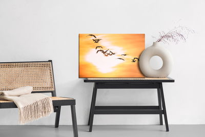 Ljuddämpande tavla - Cormorants birds