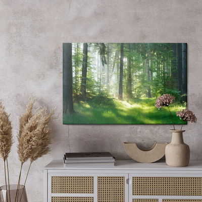Ljuddämpande tavla - The sun peeks into the forest