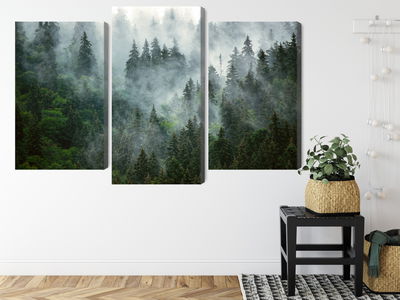 Ljuddämpande tavla - Green forest in the fog