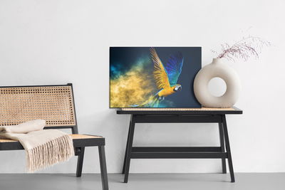 Ljuddämpande tavla - Colorful macaw parrot