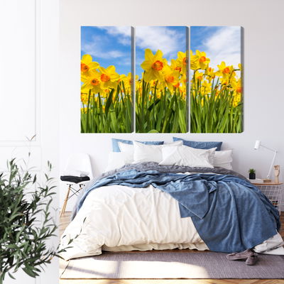 Ljuddämpande tavla - Daffodil field 3d