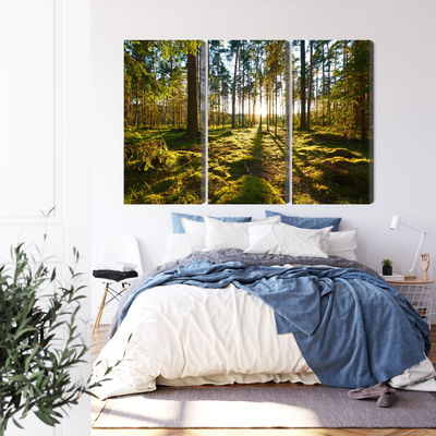 Ljuddämpande tavla - Forest landscape with sunset