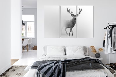 Ljuddämpande tavla - A stately deer in the fog
