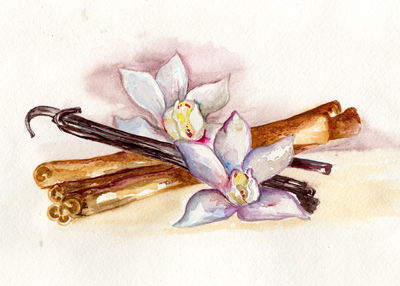 Ljuddämpande tavla - Vanilla sticks with flowers