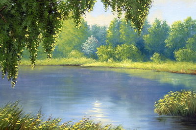 Ljuddämpande tavla - A forest overlooking