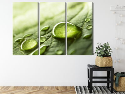 Ljuddämpande tavla - Water drops on a leaf