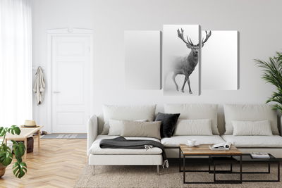 Ljuddämpande tavla - A stately deer in the fog