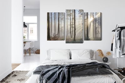 Ljuddämpande tavla - Sunrise in the woods