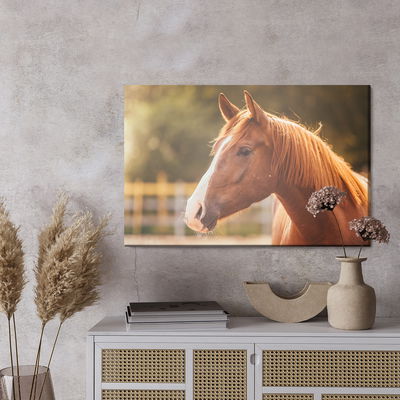 Ljuddämpande tavla - A horse in the paddock