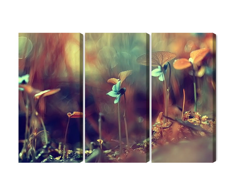 Ljuddämpande tavla - Delicate plants on a macro