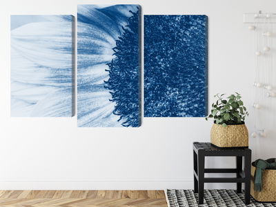 Ljuddämpande tavla - Blue sunflower on a macro