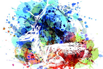 Ljuddämpande tavla - Deer in an abstract version