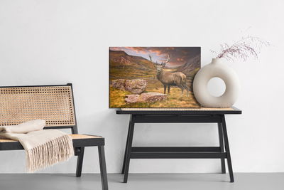 Ljuddämpande tavla - Deer in the mountains