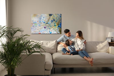 Ljuddämpande tavla - Dandelion, colorful drops