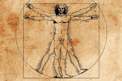 Ljuddämpande tavla - Virtuvian man