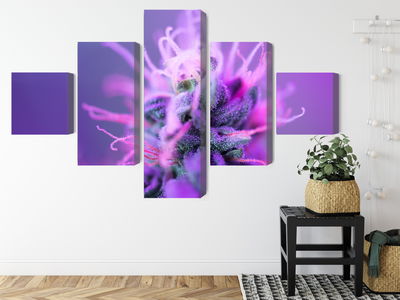 Ljuddämpande tavla - Macro plant on a pink-purple