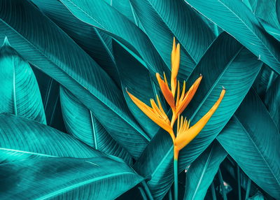 Ljuddämpande tavla - Orange flower