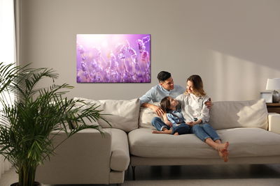 Ljuddämpande tavla - Lavender flowers in the sun