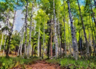 Ljuddämpande tavla - Beautiful summer country