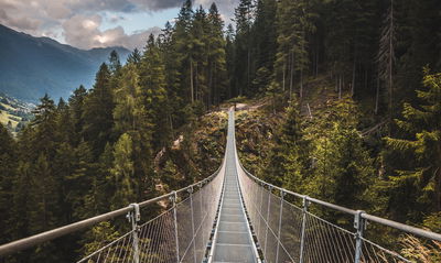 Ljuddämpande tavla - Suspension bridge in a 3d