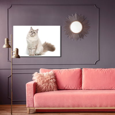 Ljuddämpande tavla - Neva masquarade cat