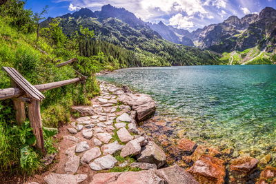 Ljuddämpande tavla - 3d view of the lake