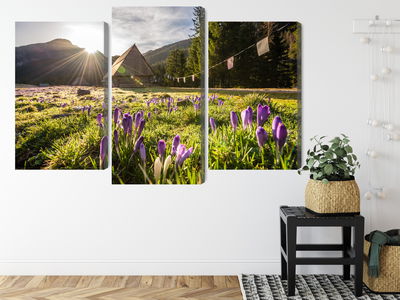 Ljuddämpande tavla - Chocholowska valley