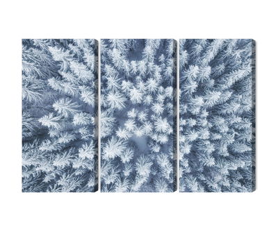 Ljuddämpande tavla - Aerial view of the winter