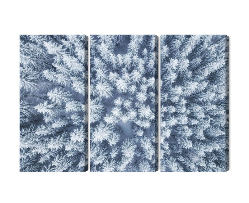 Ljuddämpande tavla - Aerial view of the winter