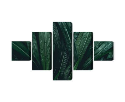 Ljuddämpande tavla - Dark green leaves on a macro