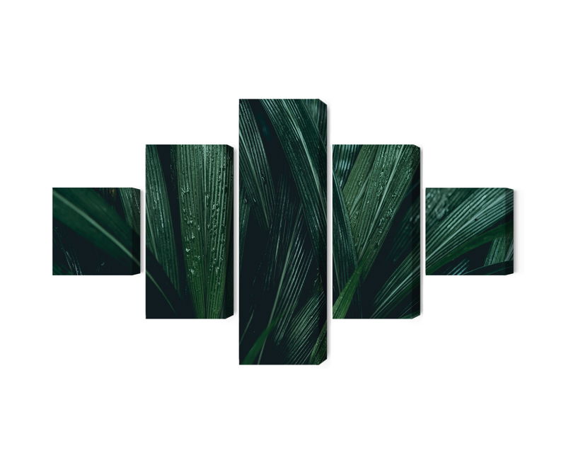 Ljuddämpande tavla - Dark green leaves on a macro