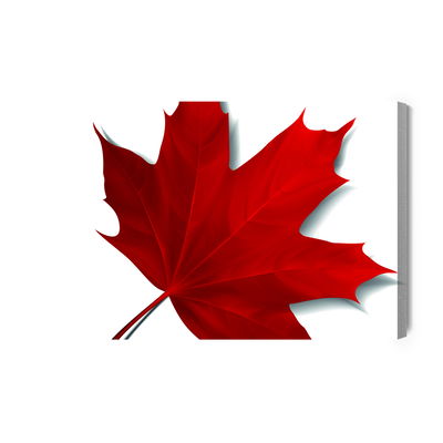 Ljuddämpande tavla - Red maple leaf