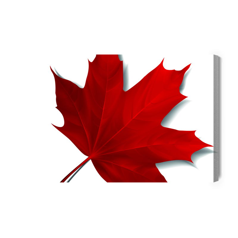 Ljuddämpande tavla - Red maple leaf
