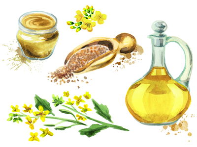 Ljuddämpande tavla - Spices and flowers painted