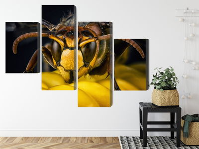 Ljuddämpande tavla - Wasp on a macro scale