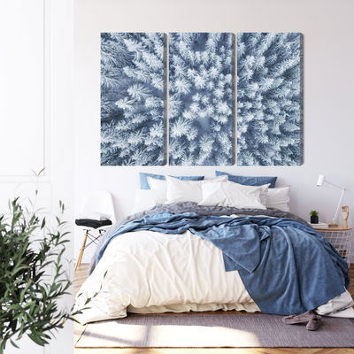 Ljuddämpande tavla - Aerial view of the winter