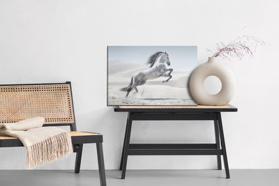 Ljuddämpande tavla - Horse in the desert
