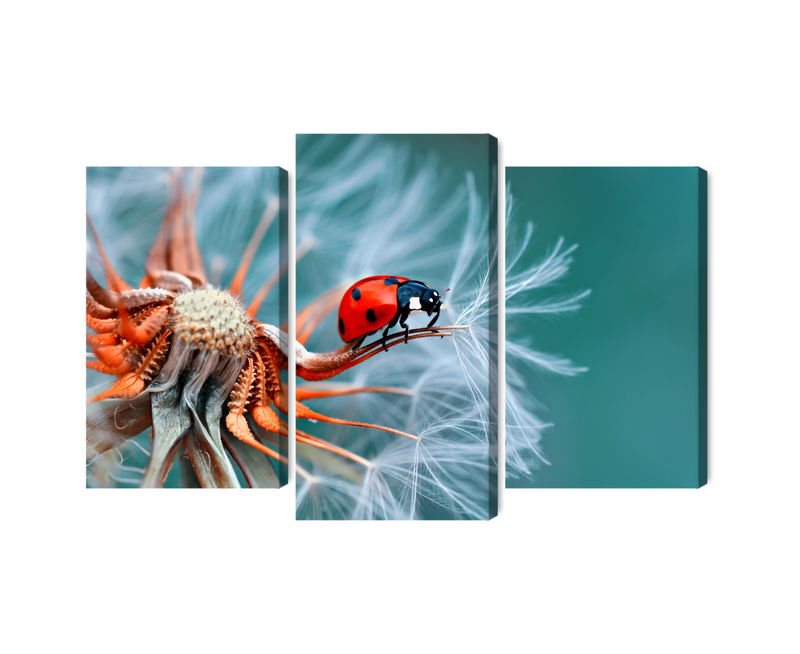 Ljuddämpande tavla - Ladybug on a dandelion