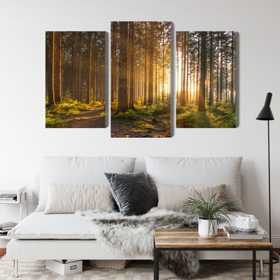 Ljuddämpande tavla - Sunset in the forest