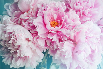 Ljuddämpande tavla - 3d peony bouquet