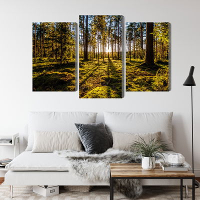 Ljuddämpande tavla - Morning sun rays