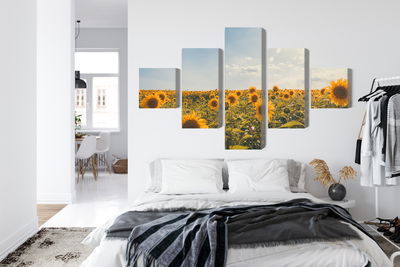 Ljuddämpande tavla - Sunflower field on a summer