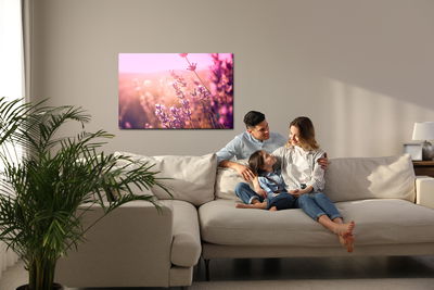 Ljuddämpande tavla - Lavender flowers in the sun