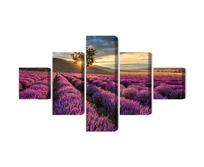 Ljuddämpande tavla - Lavender field at sunset 3d