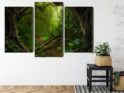 Ljuddämpande tavla - Path in the tropical forest