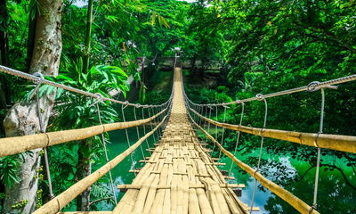 Ljuddämpande tavla - Bamboo bridge in a tropical