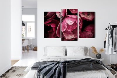 Ljuddämpande tavla - Peony flowers close up 3d